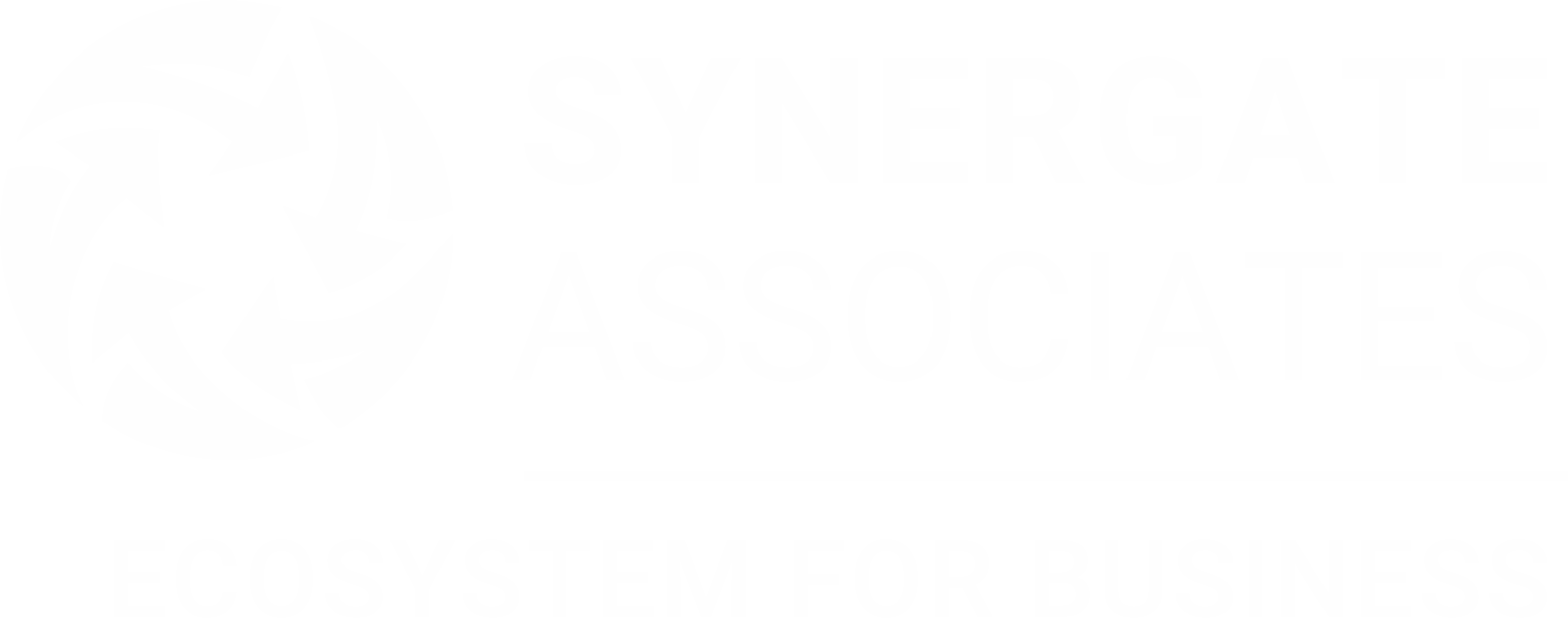 Synergate Associates Logo